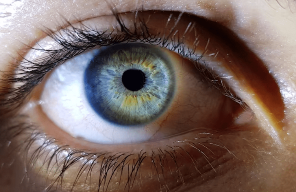 LASIK vs PRK: ¿Cuál es mejor para mí?